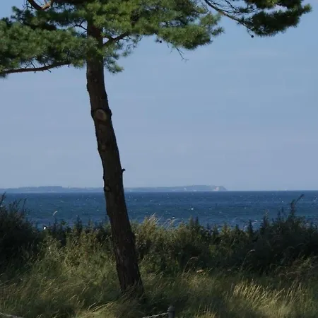 Urlaub Mit Hund Im Bernsteinhus By Interhome * Glowe