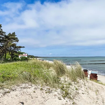 Urlaub Mit Hund Im Bernsteinhus By Interhome *